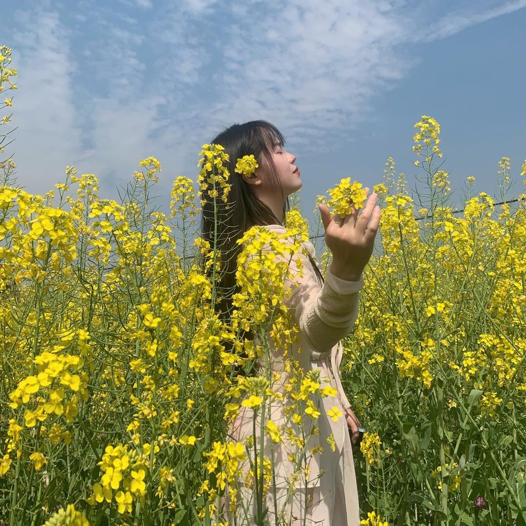 无暇的彼岸花