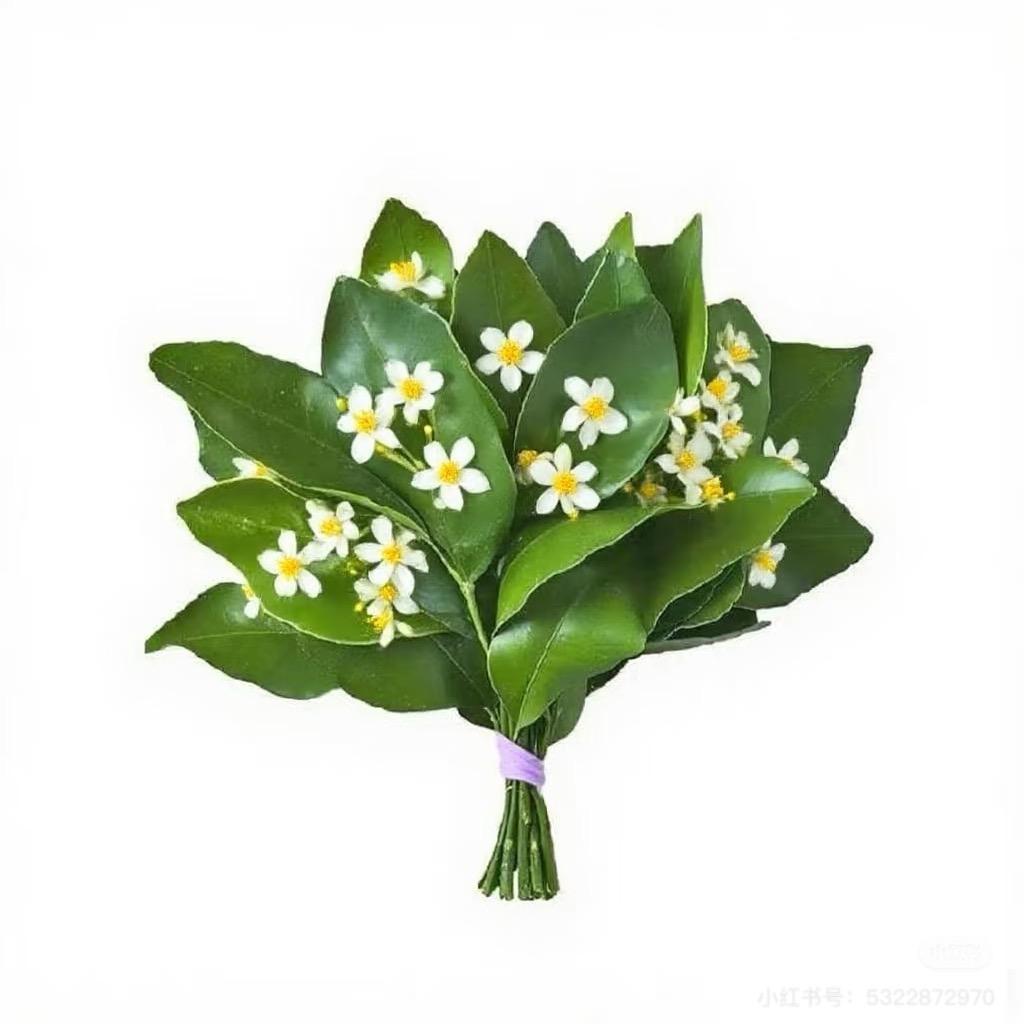 莓泥不行ʸᵃ.ᥫᩣ