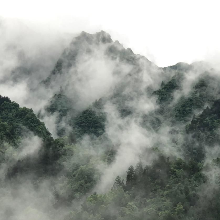 念想