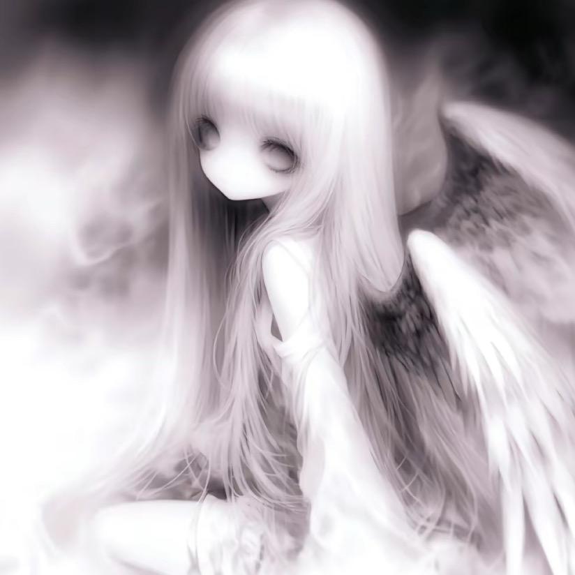 小白宝宝宝宝