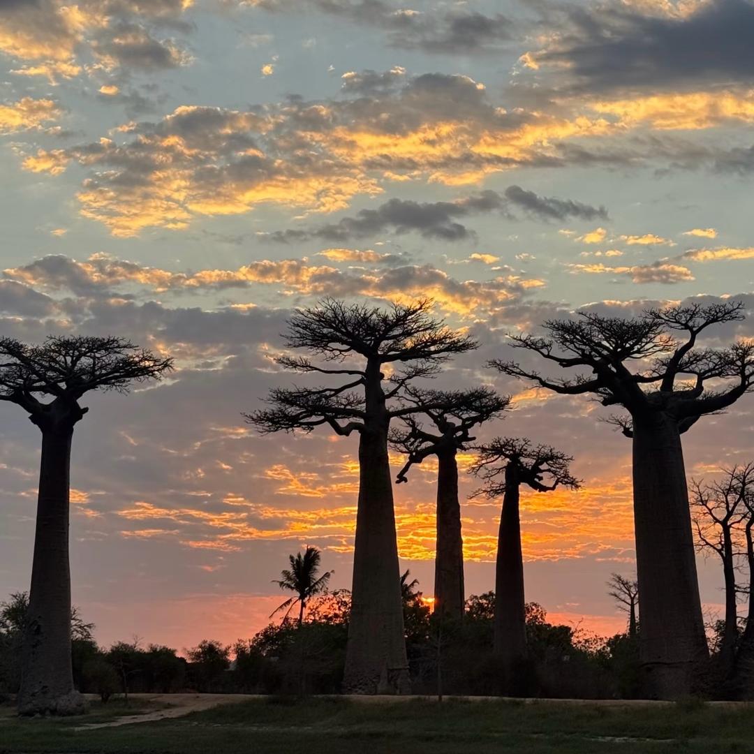 ༄༅无ྋ💫情ཽ༵ཀ💫道ེ༾⌇༄༅