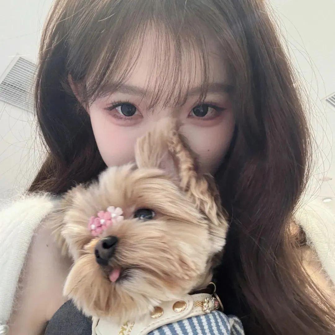 不迷路.（见过小炸版）