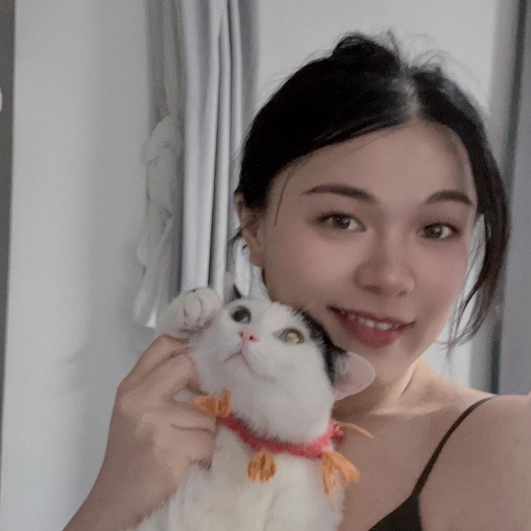 迷人的猫女士