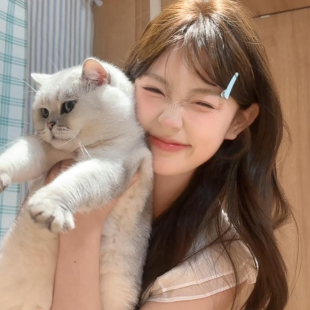犯困兔子-