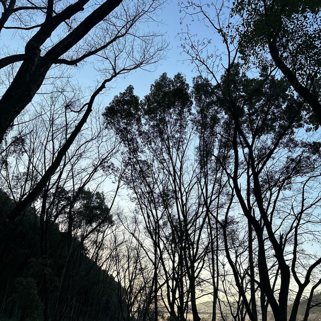～yuan～