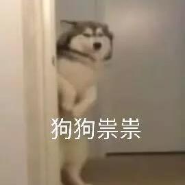 Darke