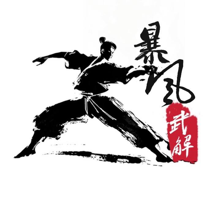 暴风武解