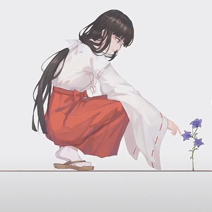大白菜菜子