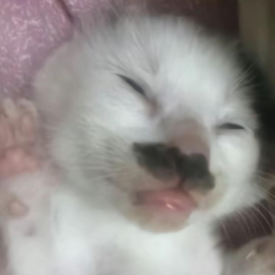 宇宙超级无敌帅气牛掰的无敌小学生暴龙战士