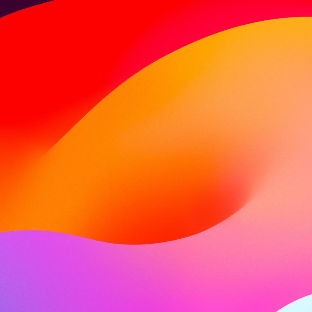 合肥碓费教育评论论师David