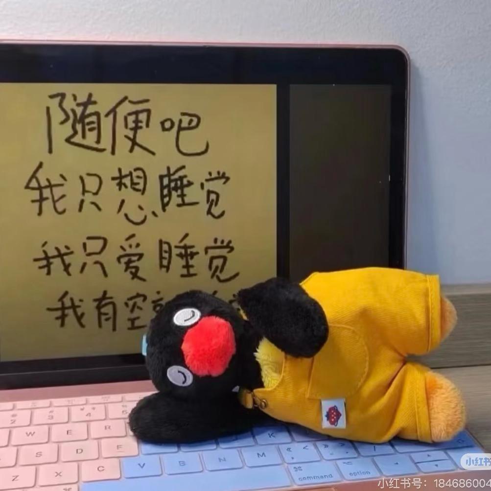 睡个好觉咯🥱