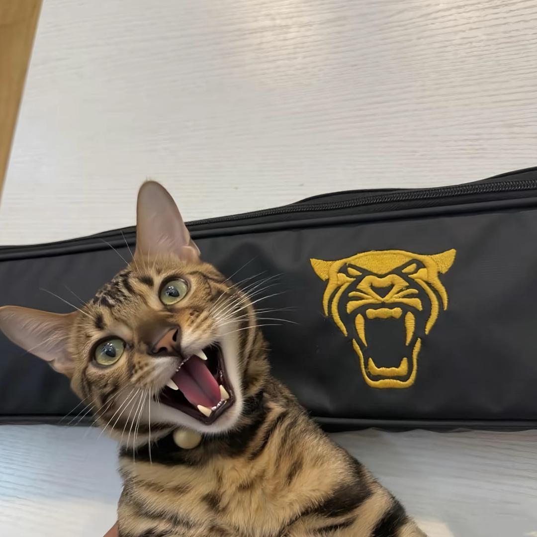 乔氏境火台球棋牌俱乐部官方号