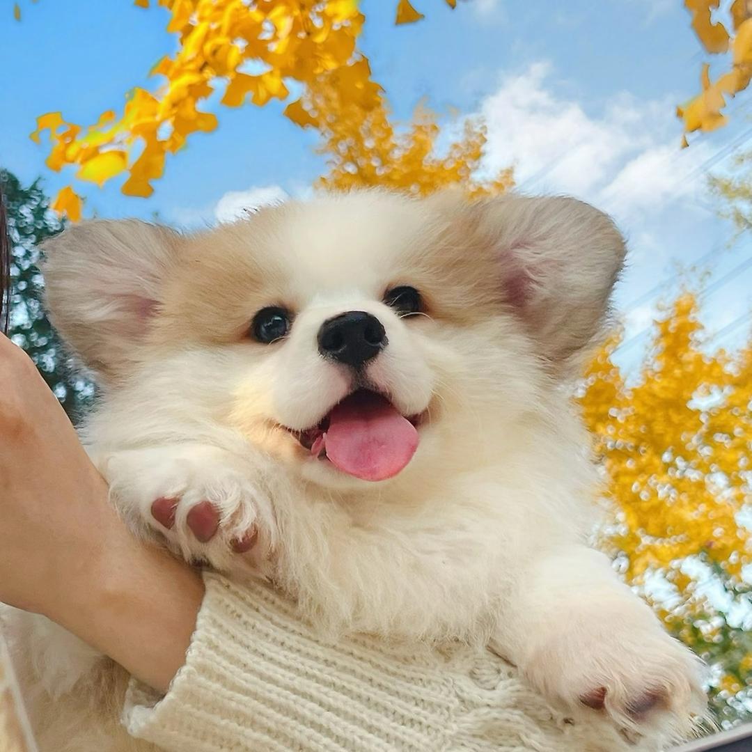 夕何夕