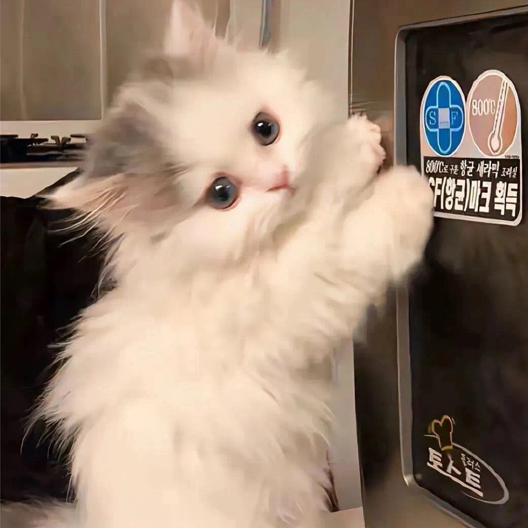 吃🥟只吃🥟皮