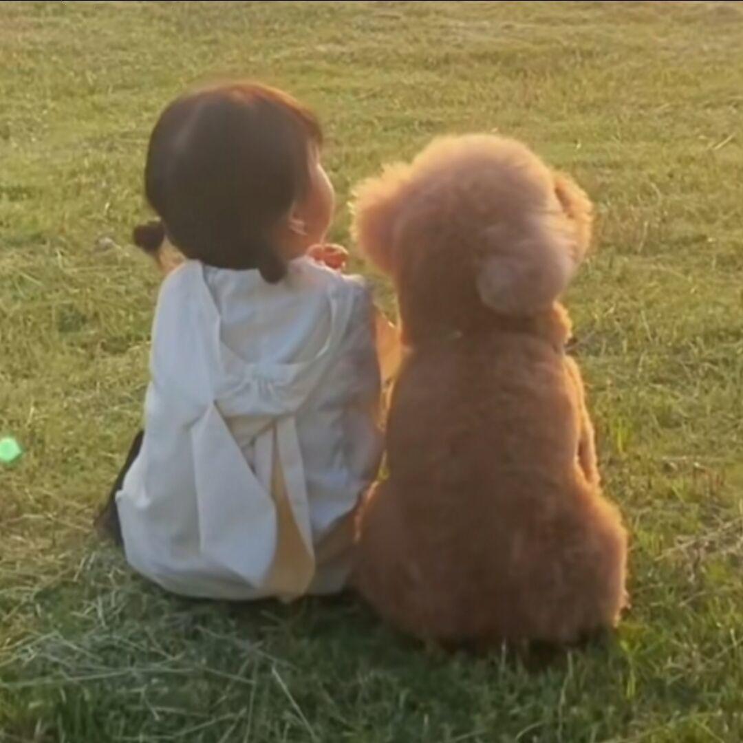 去银行整点金条