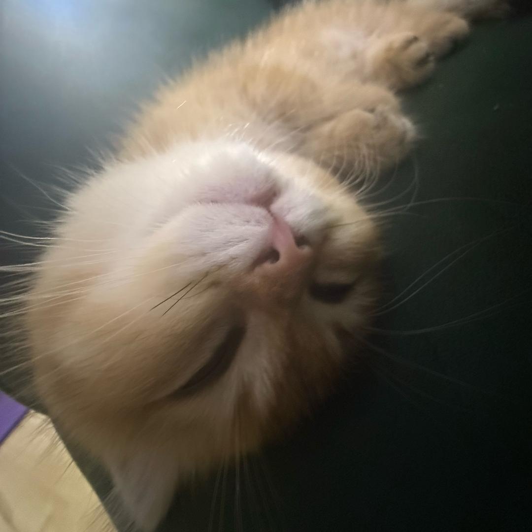 兜😘