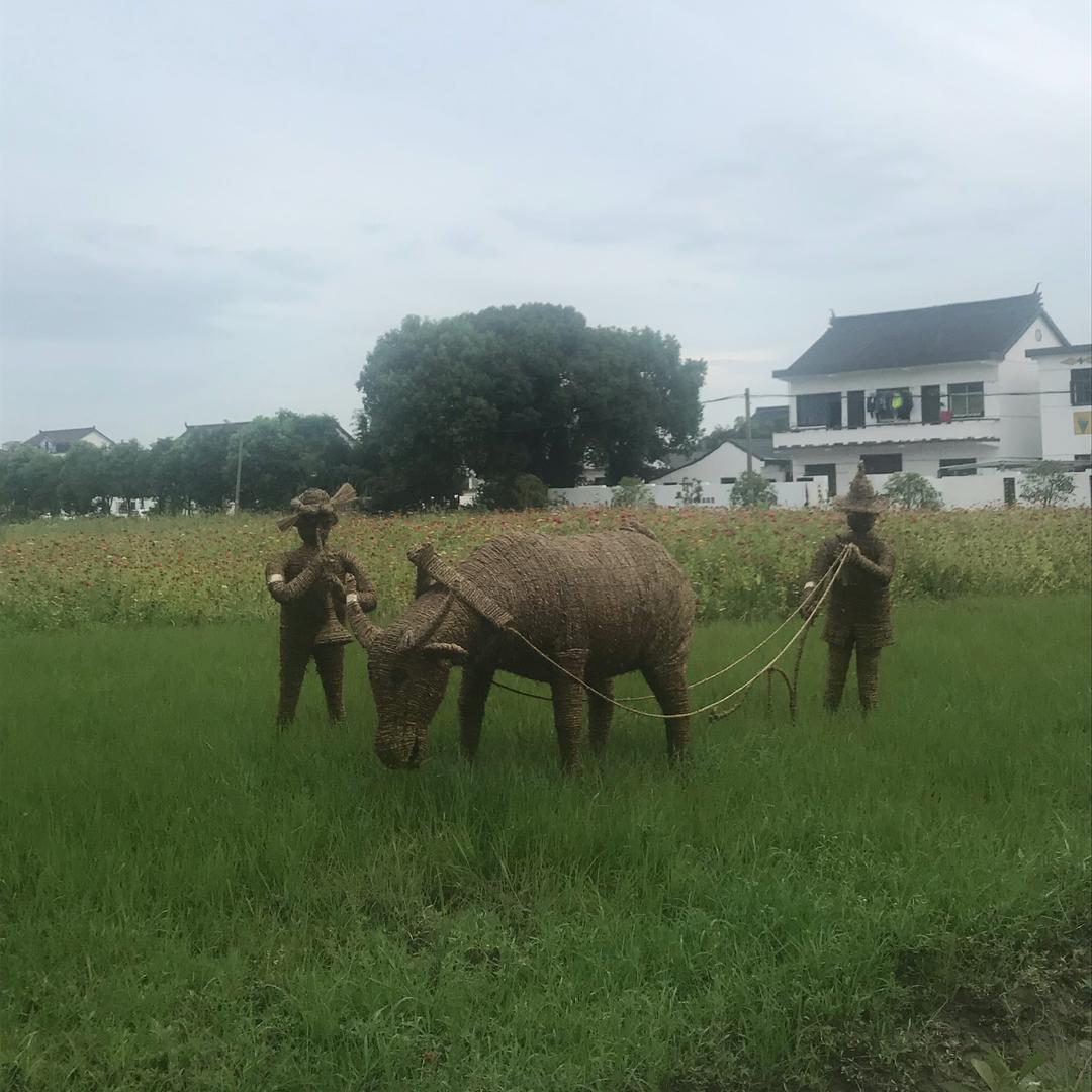 知足常乐