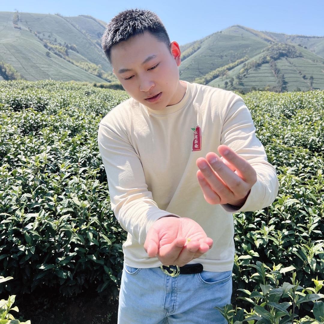福来茶庄一赵来福(源头好茶)