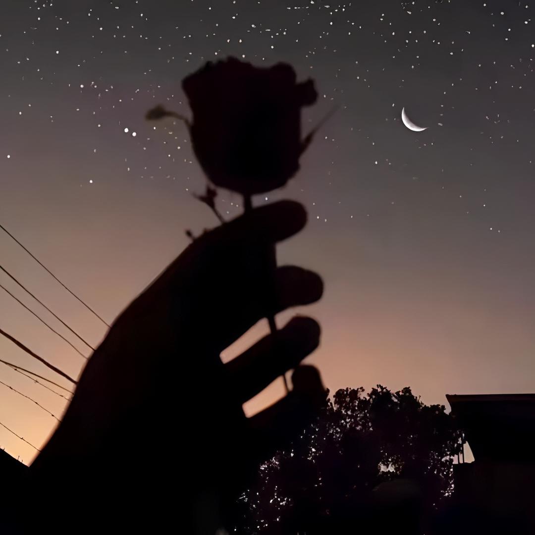 暴躁霸王龙