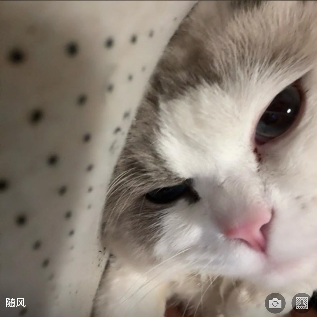 随风！（三角洲行动）