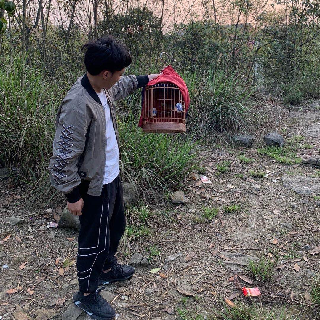 养狗专业户🐕🐦