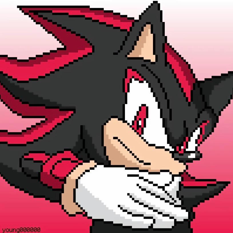 黑豆豆（29号飞新疆版)