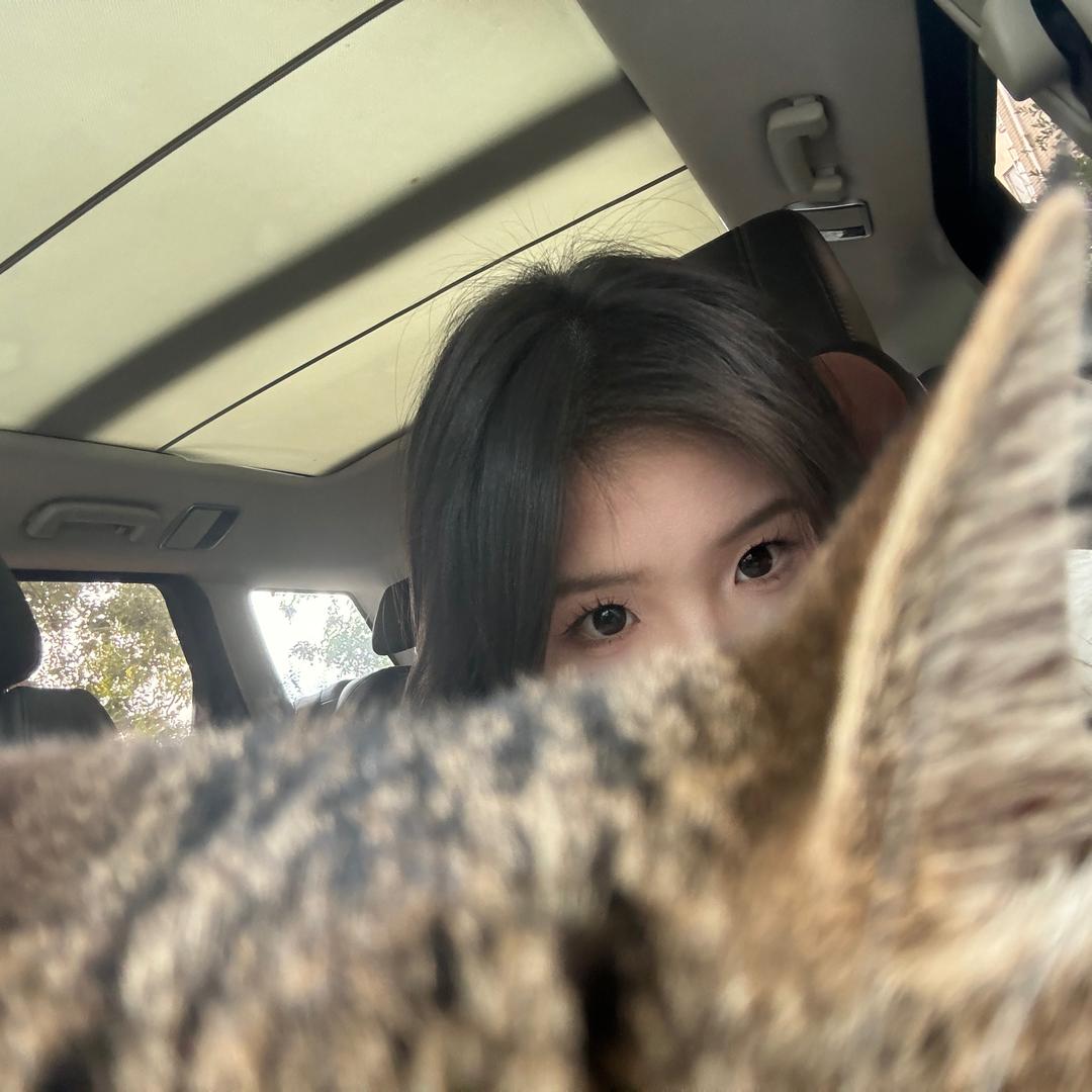 小毛