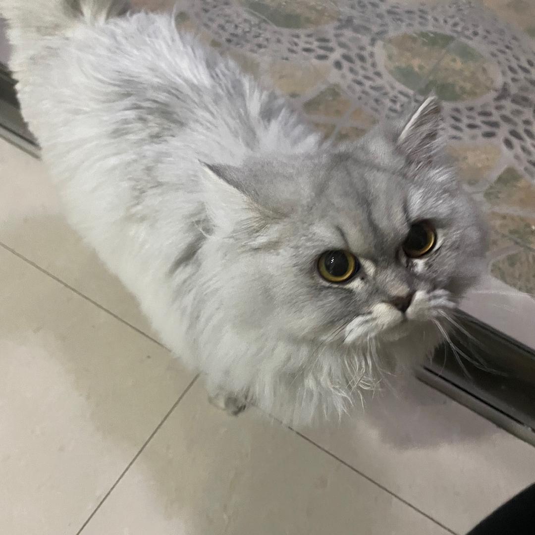 笑风云