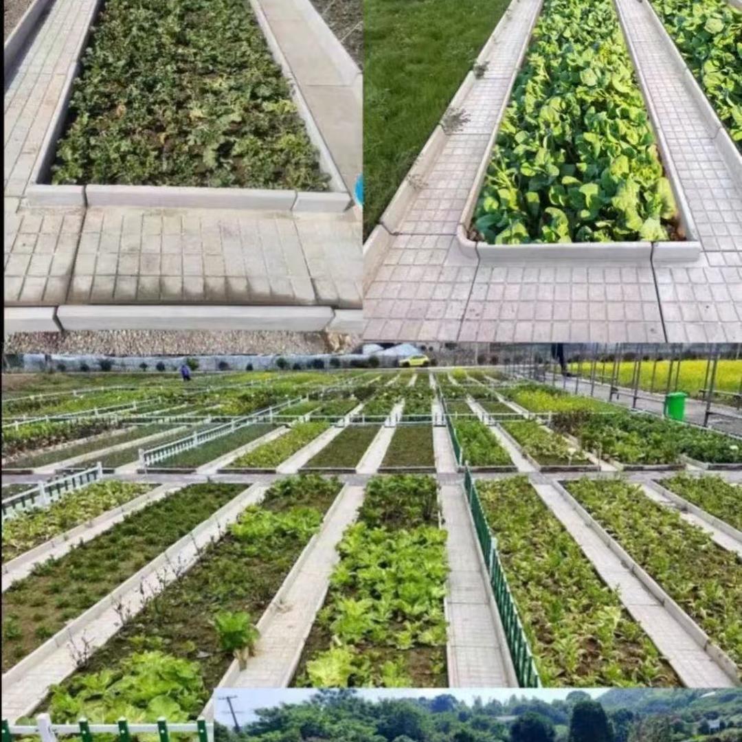 菜地沟板厂家直发