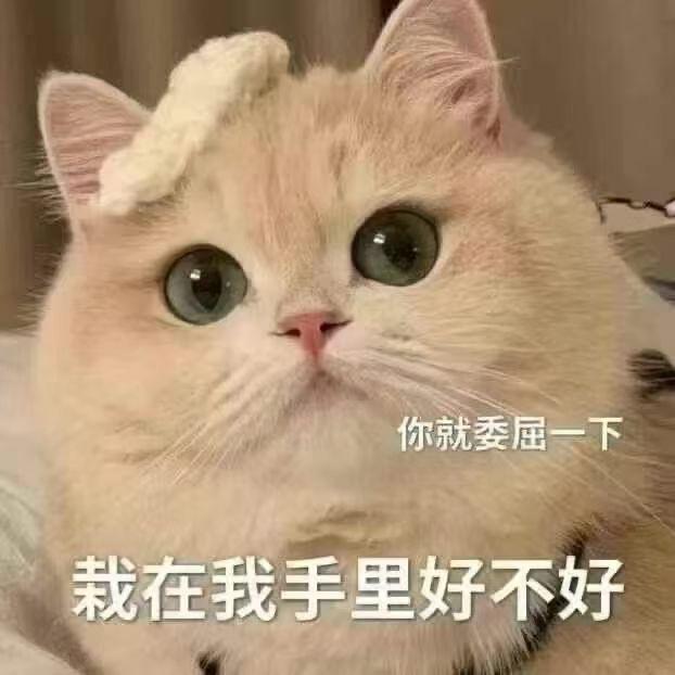 挽风