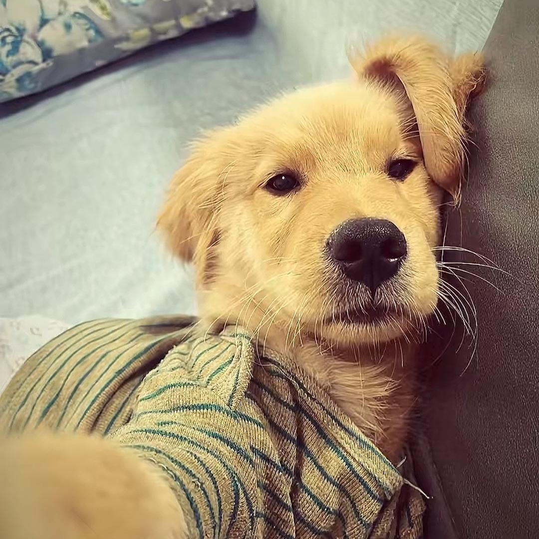 yyyy.