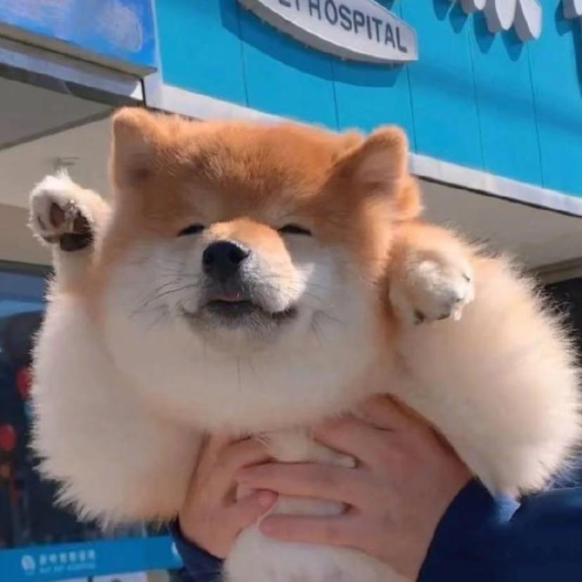 明天见0