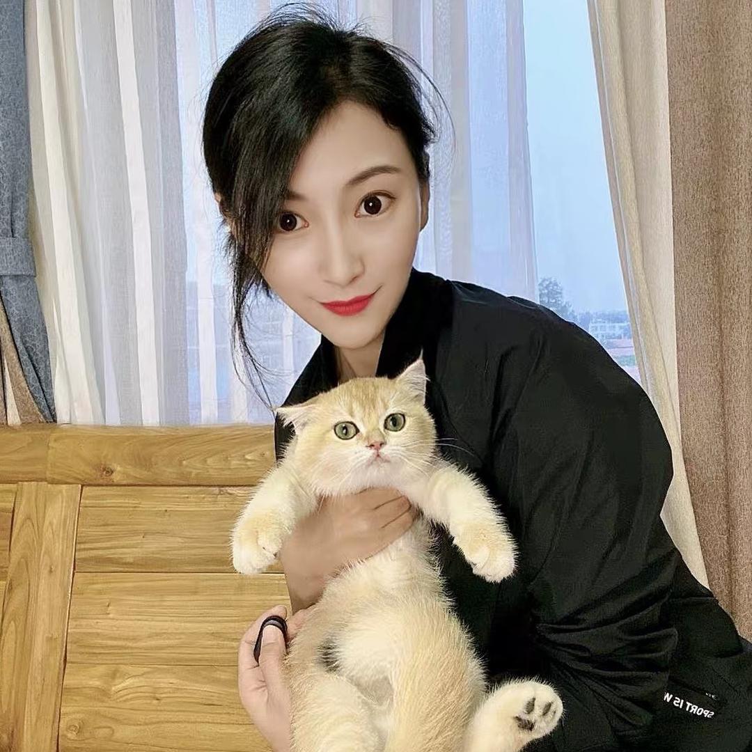 猫咪计划
