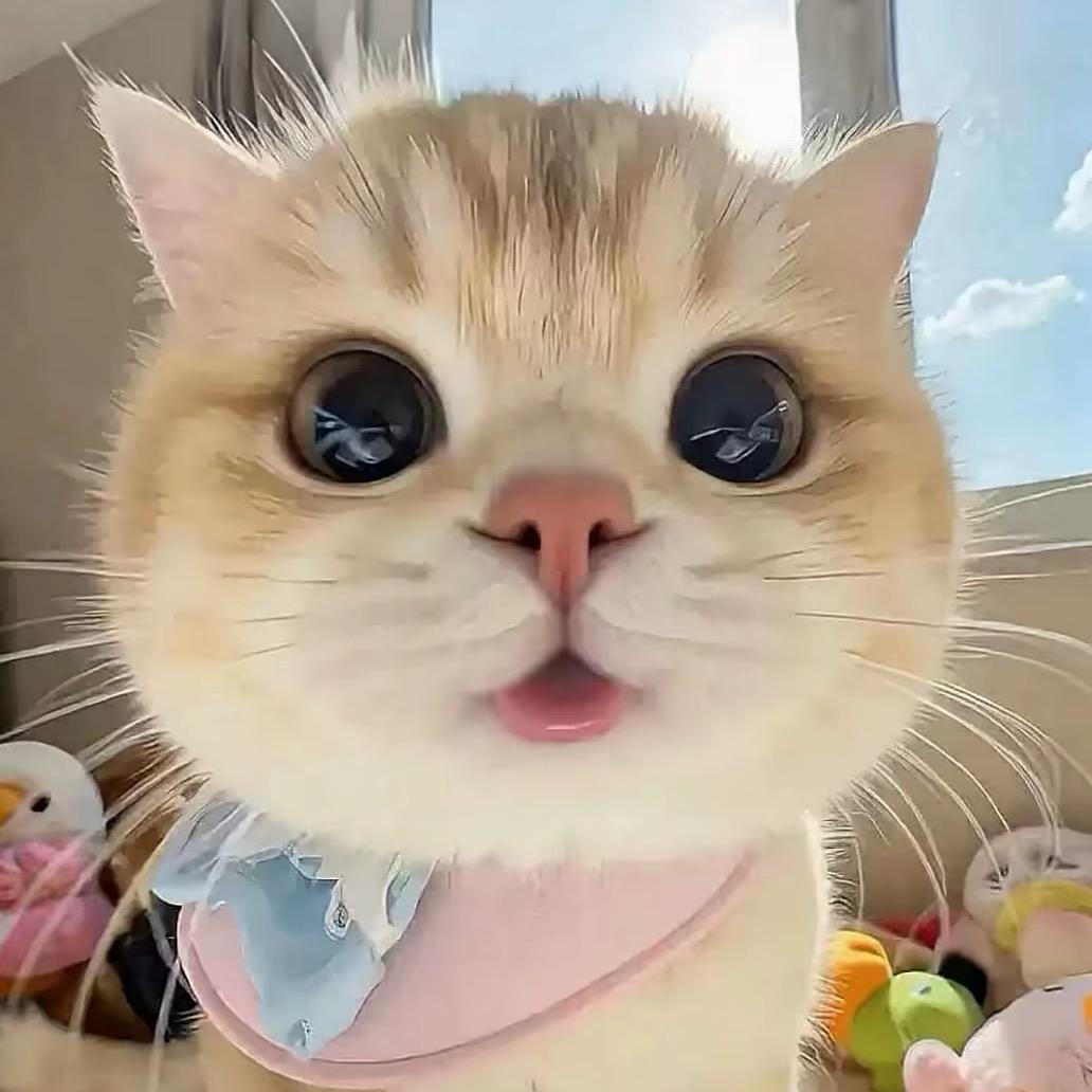 芋泥