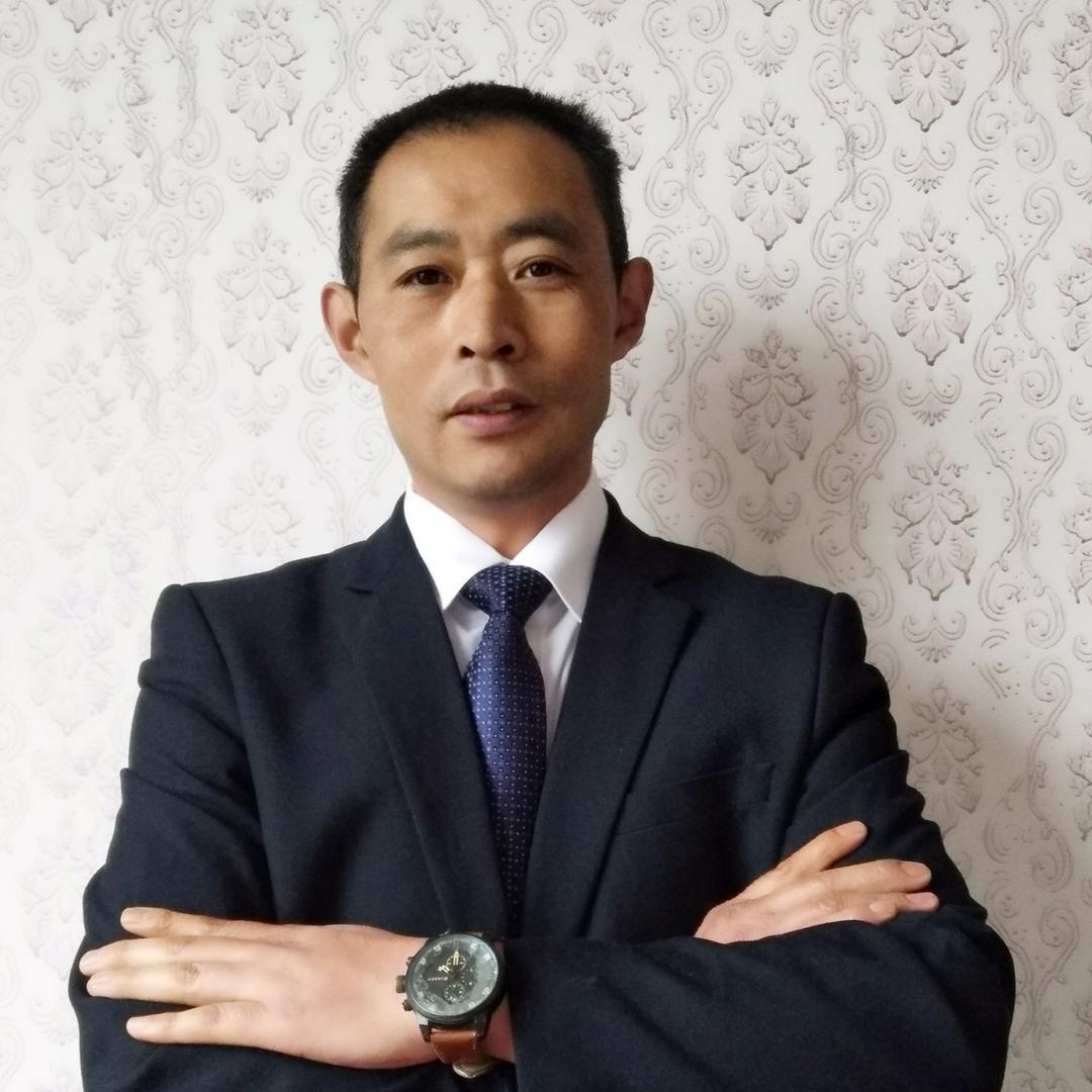 凌风书法