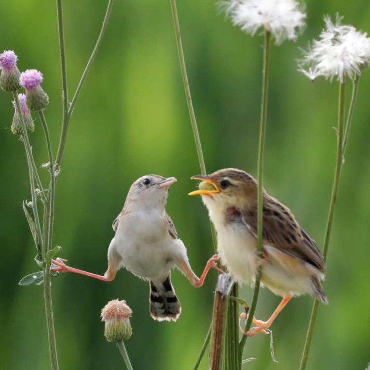 壹格印象 一 东启短视频拍摄