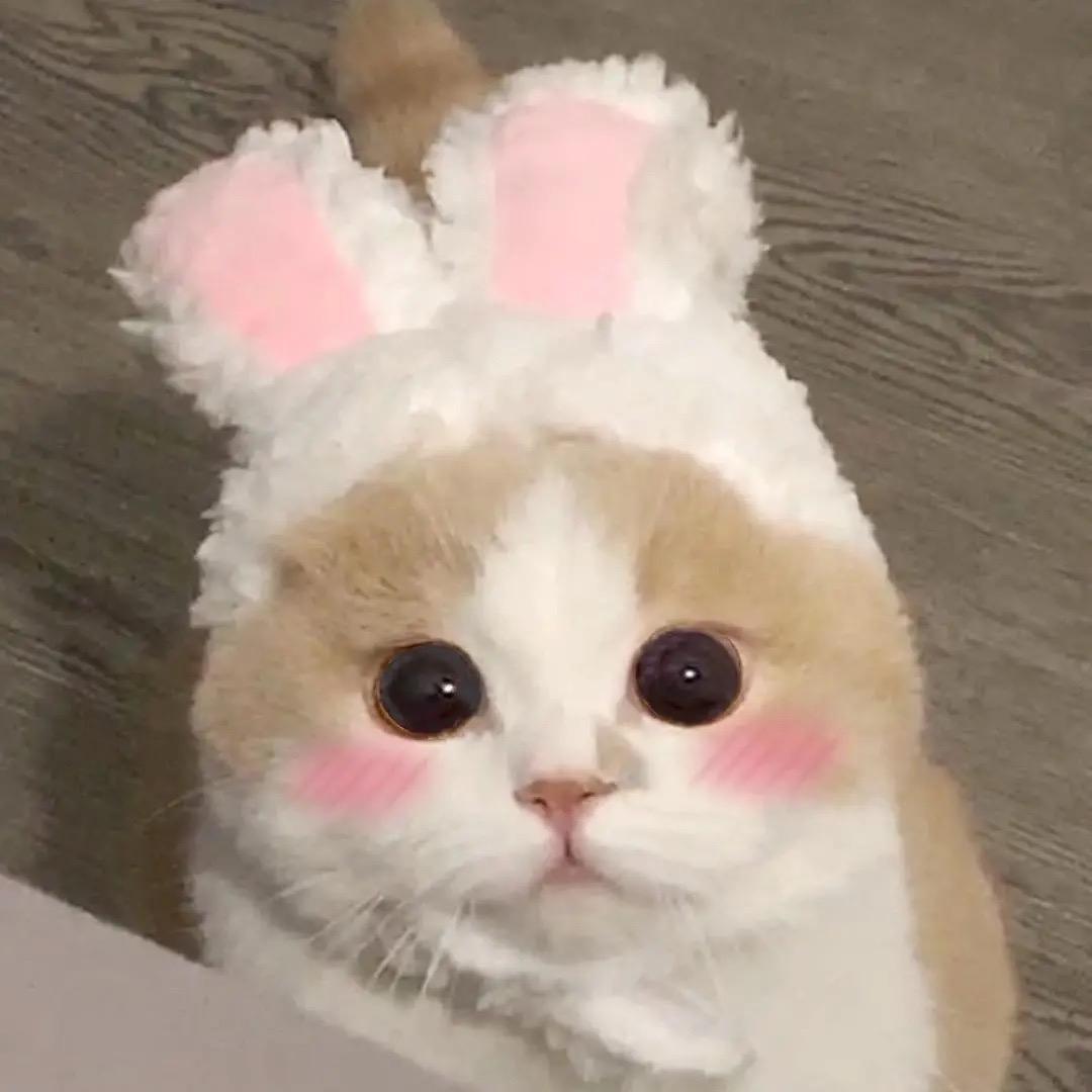 好运米米
