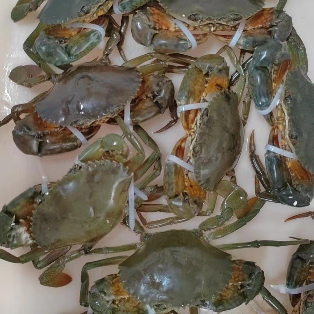 蔚蓝东山海味集