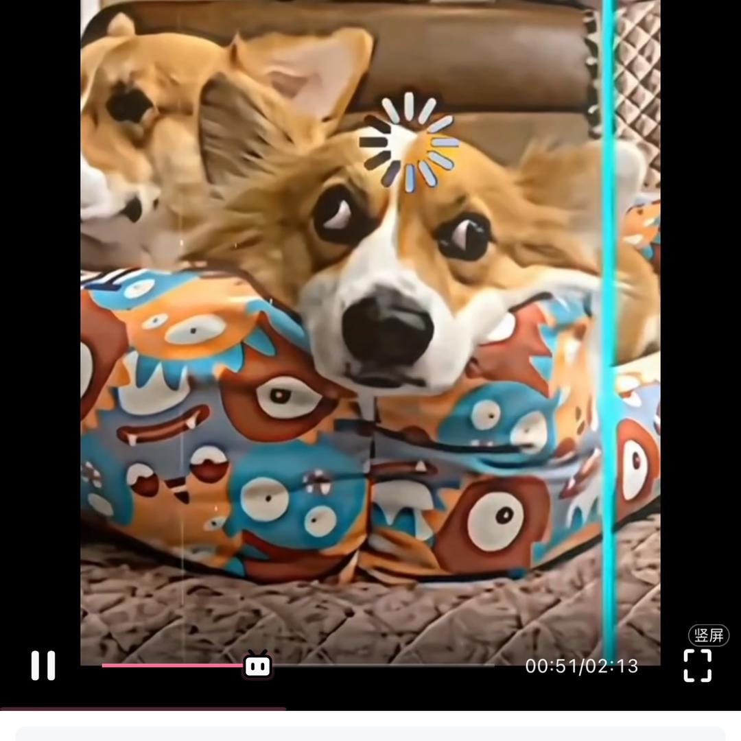 中登勇闯互联网