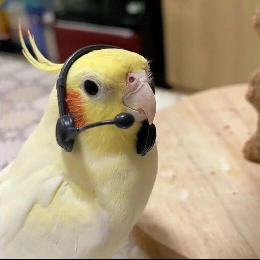 曼达拉皮肤管理