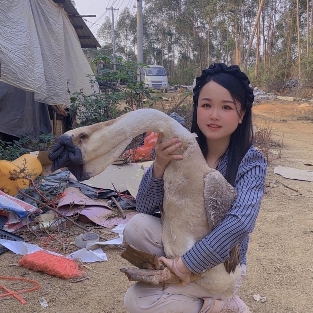 小凤阿丽桂丰店