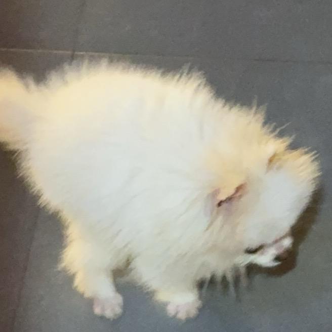 二货在线