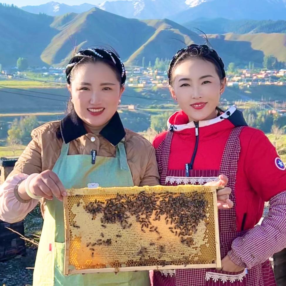 大燕家新疆土蜂蜜