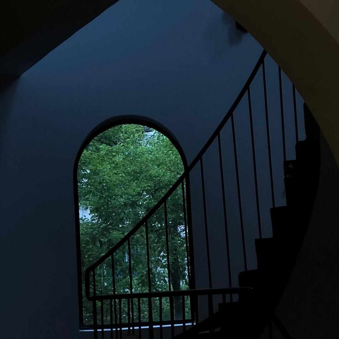 The amazing nature🌱