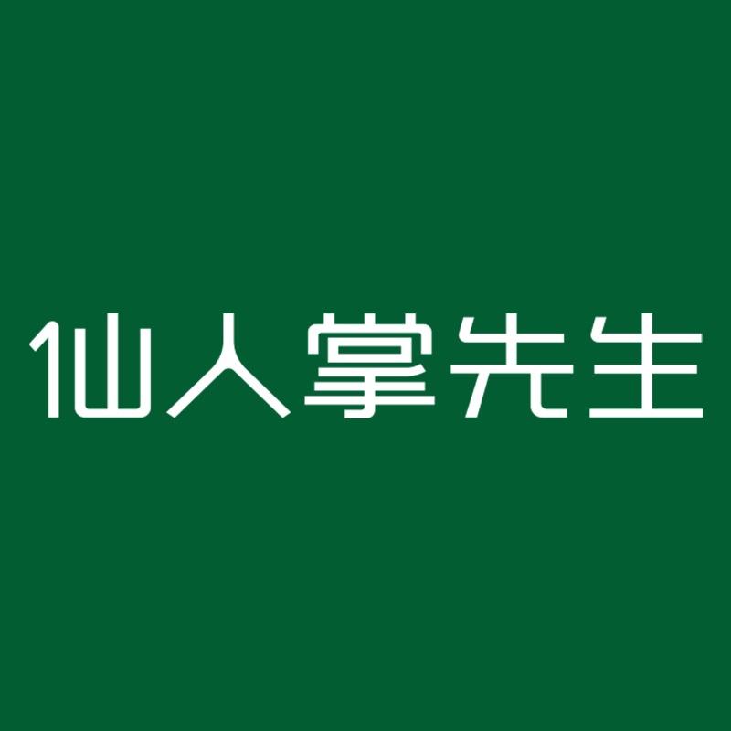 仙人掌先生灯具