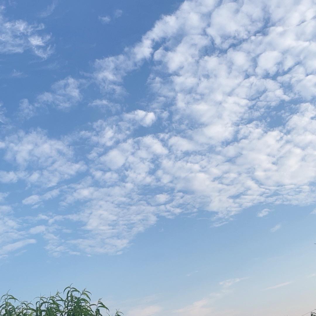 海风）