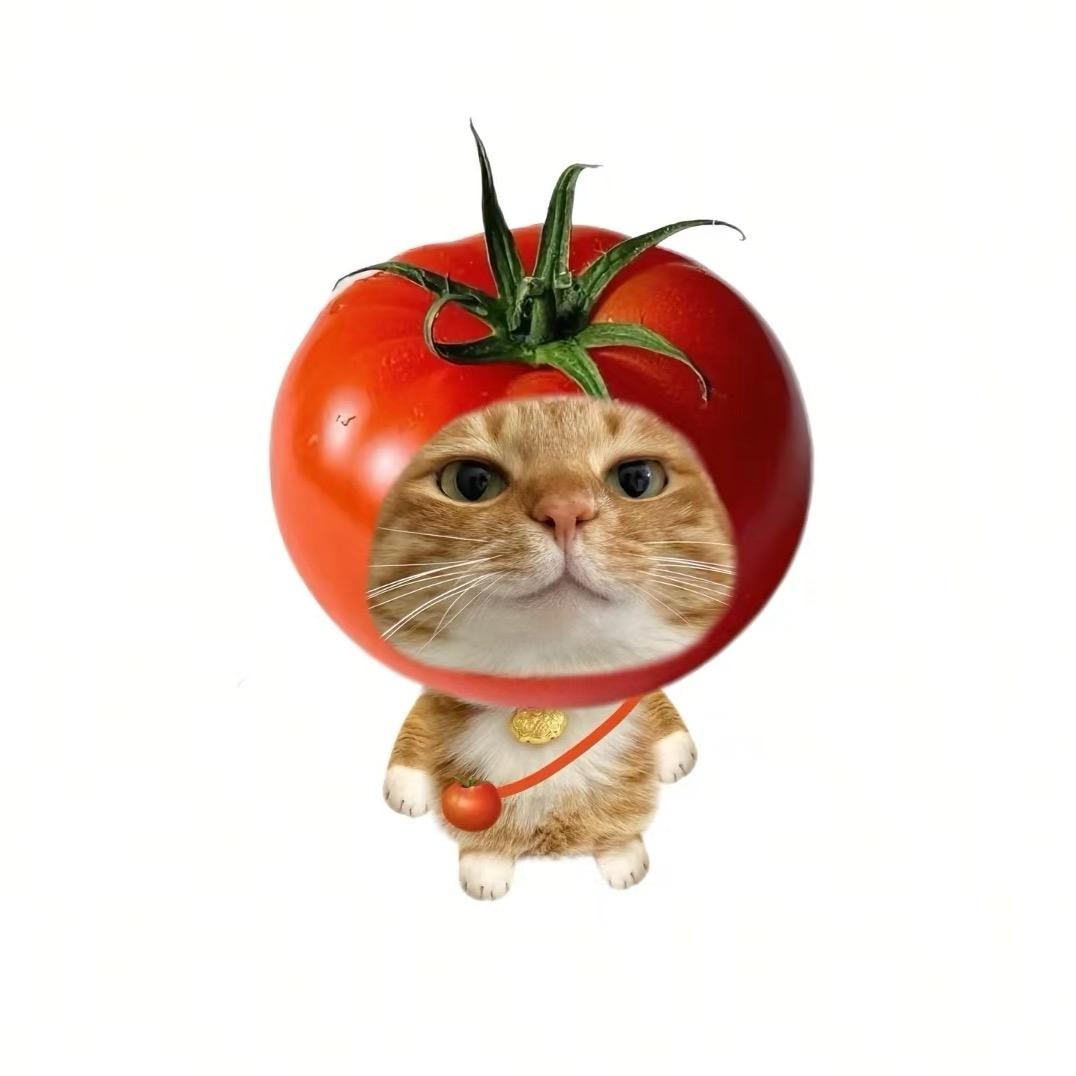 9113.（降体脂版）