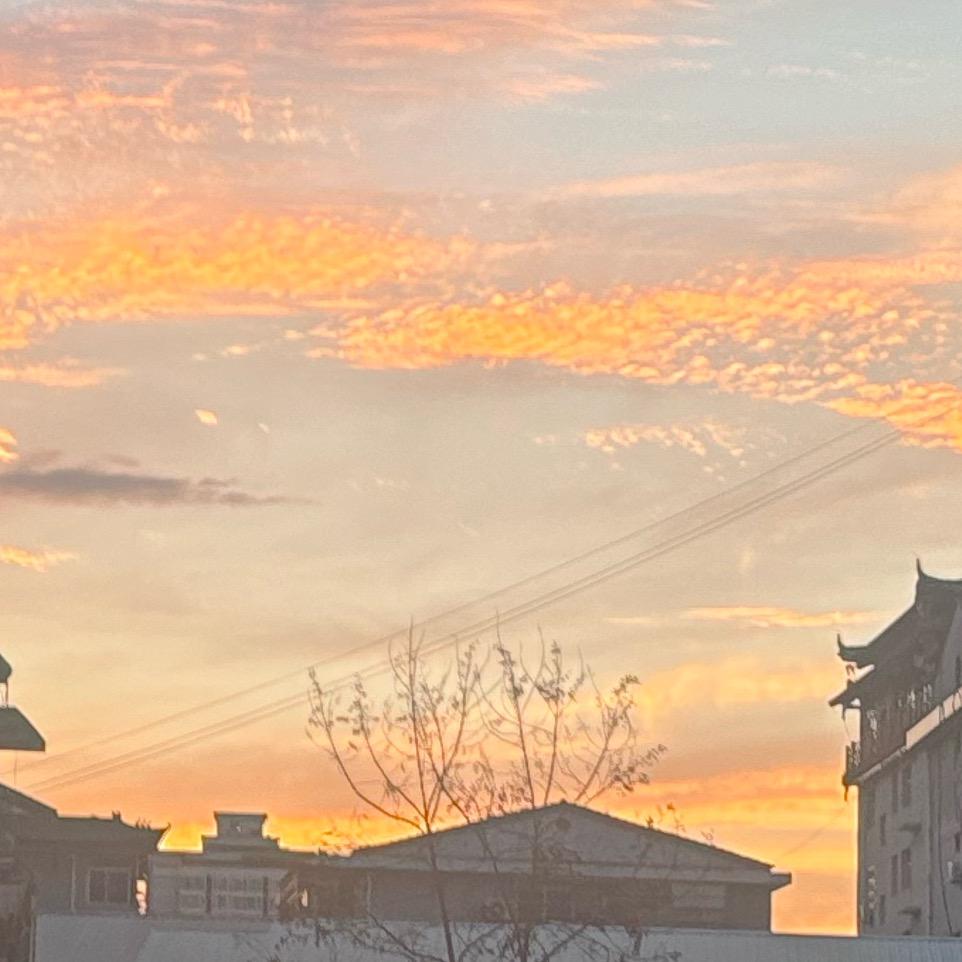 明天每一天