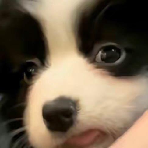 鱼鱼🐟.