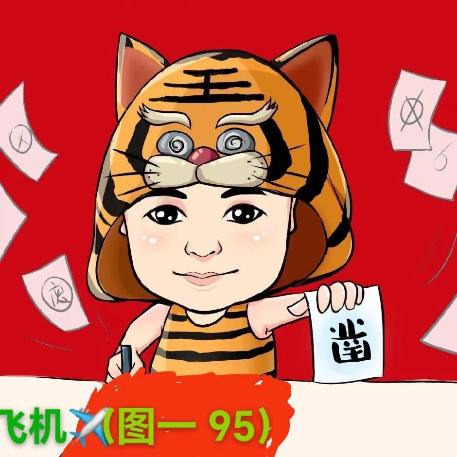 飞机（95大队）